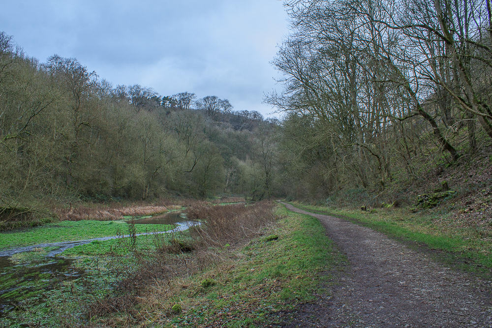 Bradford Dale Bradford Dale